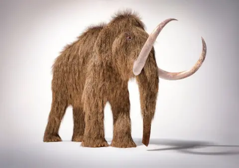 SPL Woolly Mammoth with shaggy hair and huge tusks