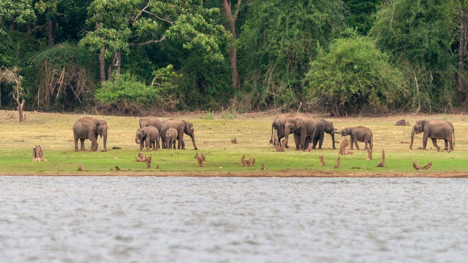 Unplug And Unwind: 6 Wild Destinations To Reset Your Mind Unplug And Unwind: 6 Wild Destinations To Reset Your Mind